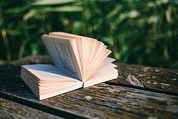 danau, buku bacaan, musim panas, buku, buku catatan terbuka, waktu, dermaga tua, malam, jam ajaib, dermaga kayu, papan kayu