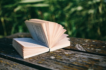 musim panas, istirahat, buku, santai, waktu, membaca buku, malam, jam ajaib, buka buku, Membaca, danau