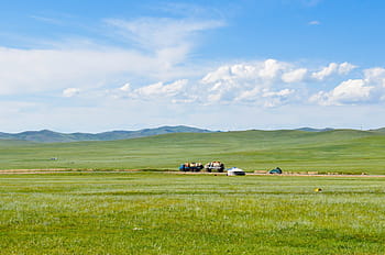 green grass, Countryside, Steppes, Mongolia, Nature, rural, landscape, grass, travel, outdoor, blue
