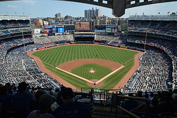야구, 뉴욕 태양, 키스, 양키스, 뉴욕 태양 키스, mlb, 경기장, 스포츠, 축구, 팀 스포츠, 구경꾼
