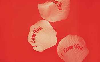 drei, ich liebe, Blütenblätter, Weiß, rot, Textil-, Liebe, Romantik, romantisch, Valentinstag, Herzform