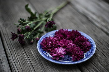 紫の、 バイオレット、 色、 花弁、 花、 緑、 葉、 プレート、 木製、 テーブル、 ぼかし