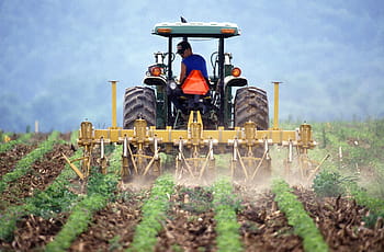 muž, jezdectví, traktor, během dne, půda, obdělávání, zemědělec, vozidel, přeprava, zemědělství, hospodařit