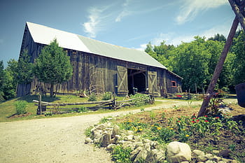 starý, stodola, většinou, použitý, zařízení, hospodářských zvířat, staré stodoly, québec, Kanada, obchod, Příroda