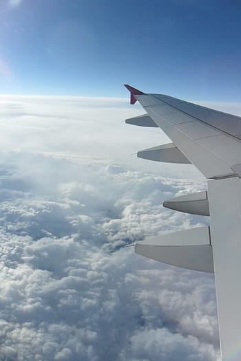 飛行機、 フライト、 空、 航空運賃、 翼、 モーター、 雲、 の高さ、 鳥瞰図、 風景
