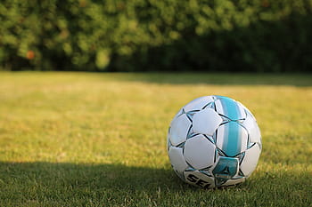 rumput, bola sepak, berbagai, olahraga, sepak bola, di luar ruangan, bola, Warna hijau, Lapangan bermain, lapangan sepak bola