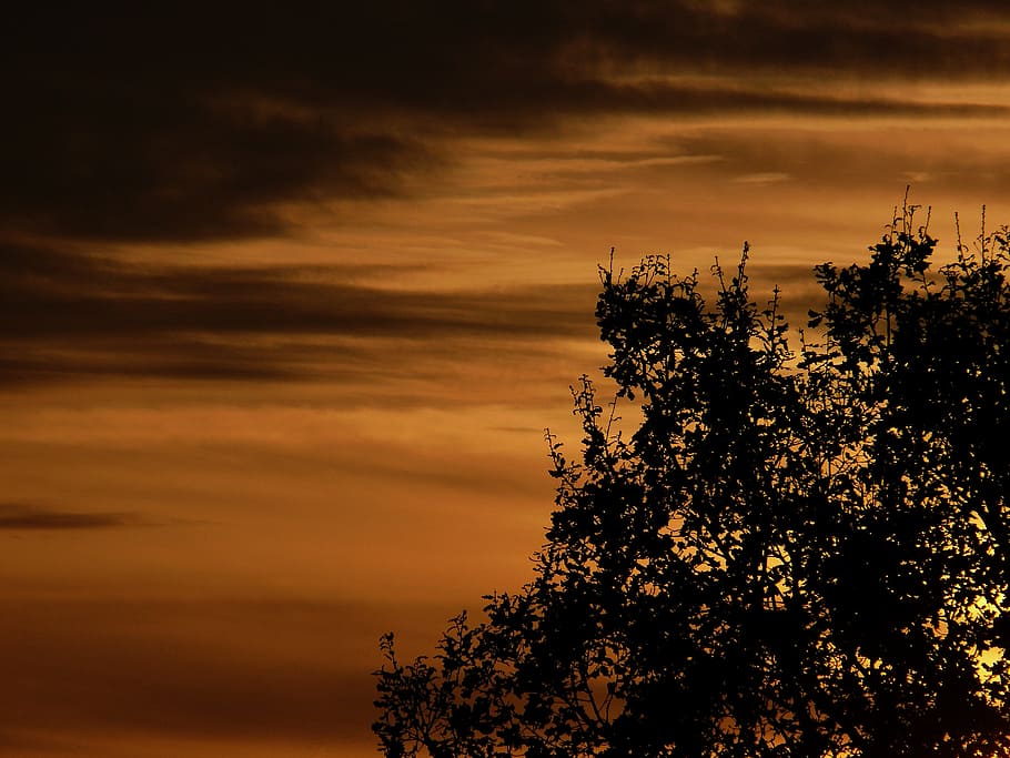 solar, sun, solar energy, sunset, evening
