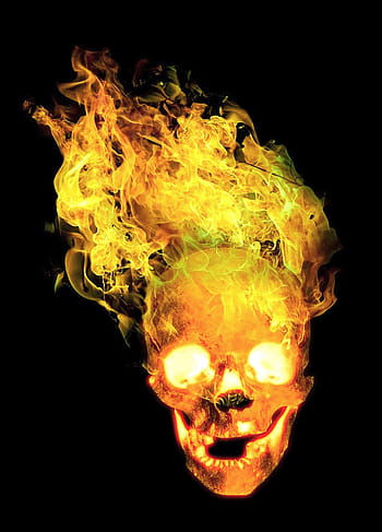 Ghost Rider hlavy tapety, lebka a zkřížené hnáty, hlava, kost, oheň, plamen, lebka, kost lebky, anatomie člověka, zvláštní, hrůza