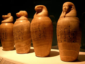 갈색 도자기 화병, 카 노이드 항아리, 이집트, 이집트 사람, 파라오, 엄마, 영원히 잊혀지지 않게 하다, 박물관, 전시회, horus, 아누비스
