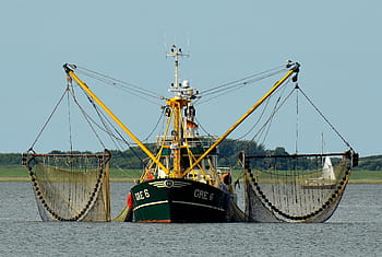 black, brown, boat, body, water, day time, fishing boat, fishing, fishing vessel, fischer, fish