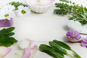 purple, white, petaled flower, arrange, surface, herbs, thyme, sage, rose, flowers, petals