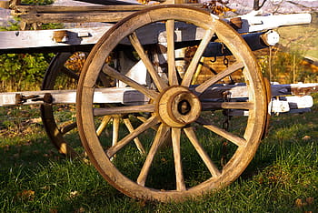 brown carriage wheel, cart, wheel, agriculture, farm, wagon wheel, grass, old-fashioned, transportation, field, wood - material