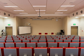 untitled, room, lecture hall, assembly hall, audience, lectures, school, university, the university, the jan kochanowski university, kielce