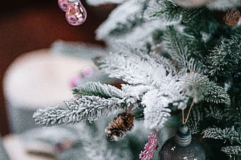クリスマスツリーの装飾、 クリスマスツリー、 装飾、 ツリー、 クリスマス、 クリスマスボール、 ボール、 冬、 クリスマスの飾り、 お祝い、 クリスマスの装飾