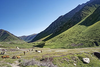 kyrgyzstan, chychkan valley, tschytschkan valley, valley, mountains, suusamyrtoo mountain range, mountain range, landscape, nature, sky, central asia