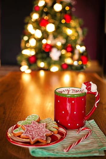 red, ceramic, mug, cookies, saucer, christmas, still life, tree, hot chocolate, hot cocoa, holiday