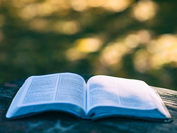 bible, rezervovat, čtení, stůl, bokeh