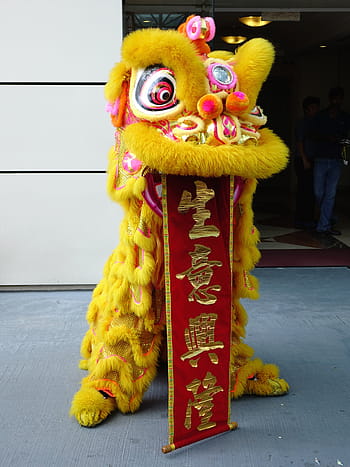 chinese dragon, ground, lion dance, chinese, tradition, new year, luck, dancing, asian, festival, performance
