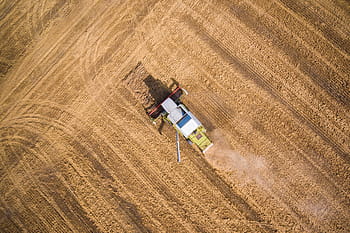 colheitadeira, colheitadeira combinada, trabalho, agricultura, olho de pássaro, cereais, fazenda, agricultor, agricultores, campo, natureza